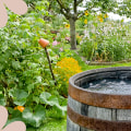 Collecting Rainwater for Outdoor Use: Sustainable Living Tips