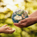 Improving Local Ecosystems: A Guide to Sustainable and Eco-Friendly Living