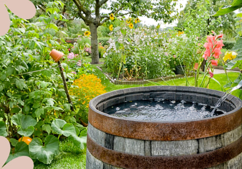 Collecting Rainwater for Outdoor Use: Sustainable Living Tips