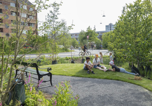 Sustainable Living: Community Gardens and Green Spaces